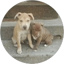 mike L. profile picture