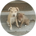 mike L. profile picture